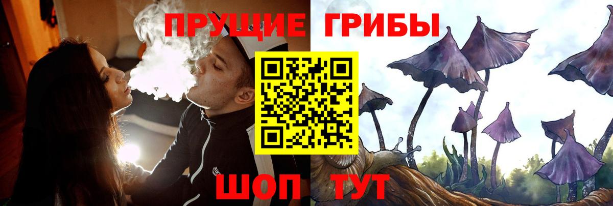 Санкт-Петербург  Псилоцибиновые грибы мухоморы  Вход с VPN 